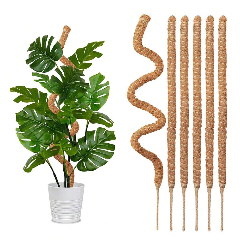 Indoor Herb Garden - Monstera Plant Moss Pole Support Stakes