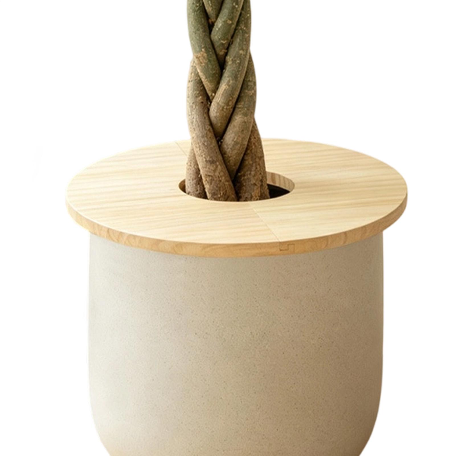 Flower Pot Covers Wooden Split - Indoor Herb Garden 评论和价格