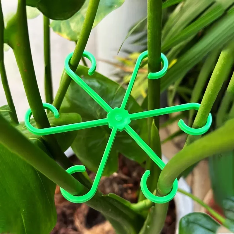 Flower Plant Stem Support Stak - Indoor Herb Garden 评论和价格