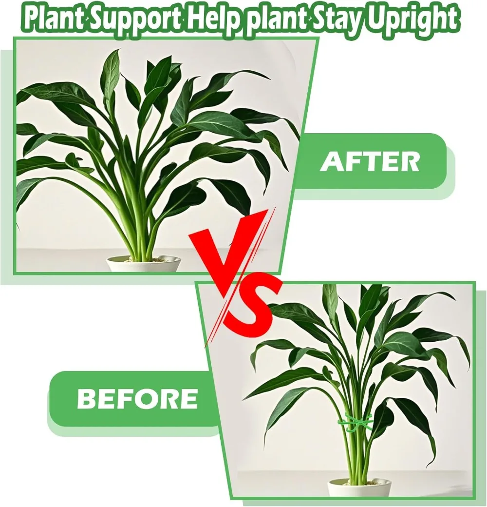 Flower Plant Stem Support Stak - Indoor Herb Garden 评论和价格