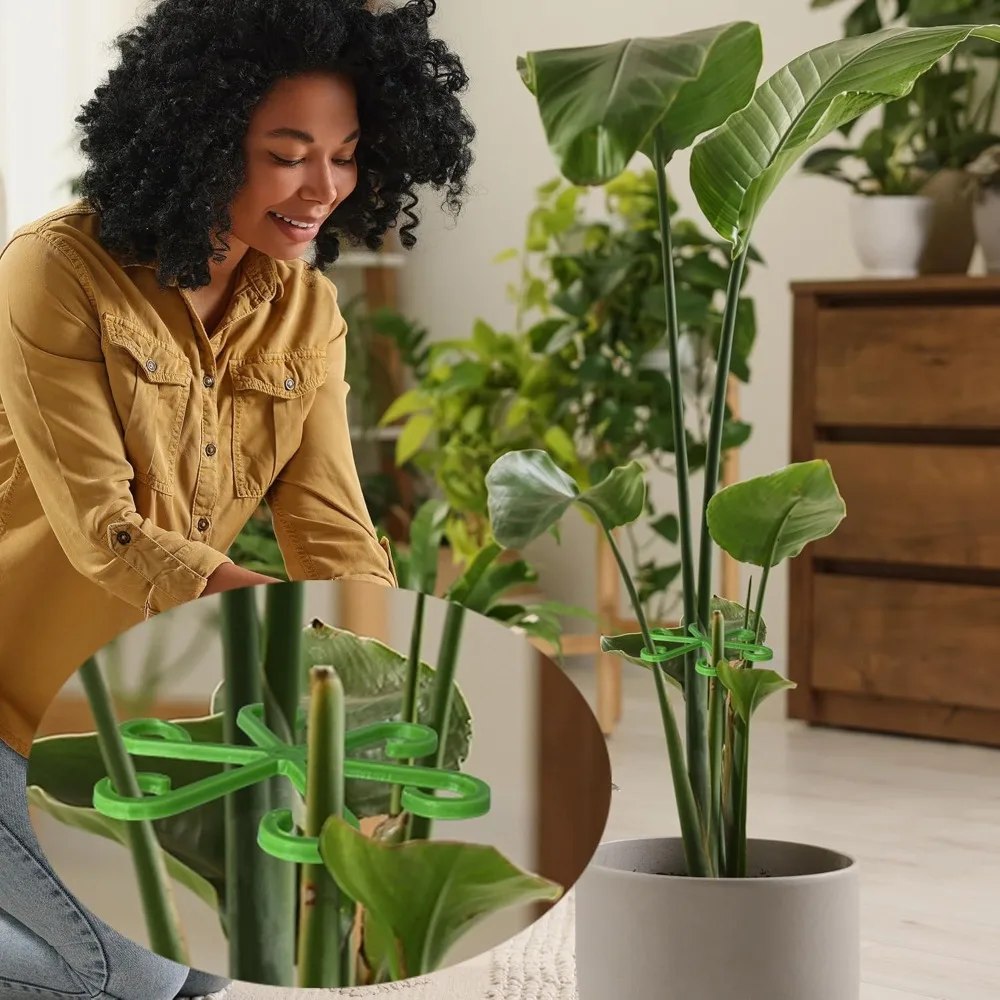 Flower Plant Stem Support Stak - Indoor Herb Garden 评论和价格