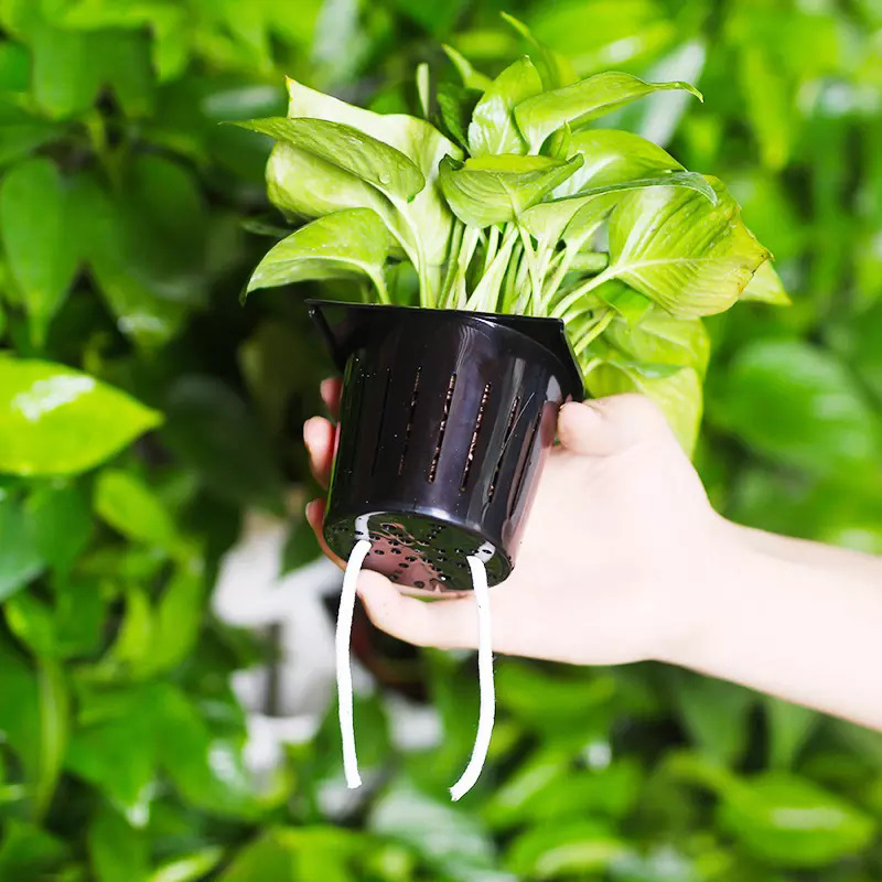 Hydroponics Indoor Kit 2 Squar - Hydroponic Kit 评论和价格