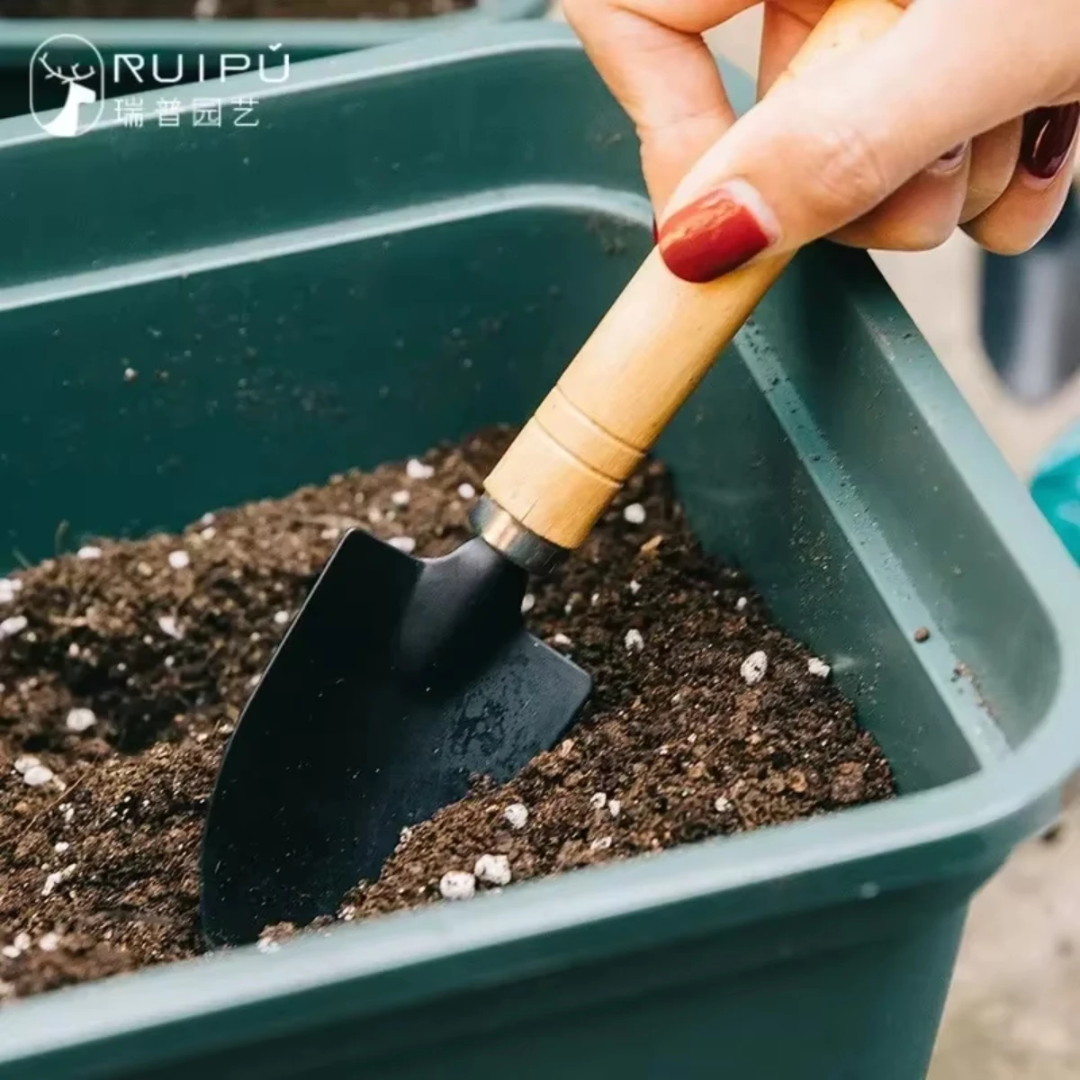 3Pcs/Set Mini Garden Tool Set  - Indoor Herb Garden 评论和价格