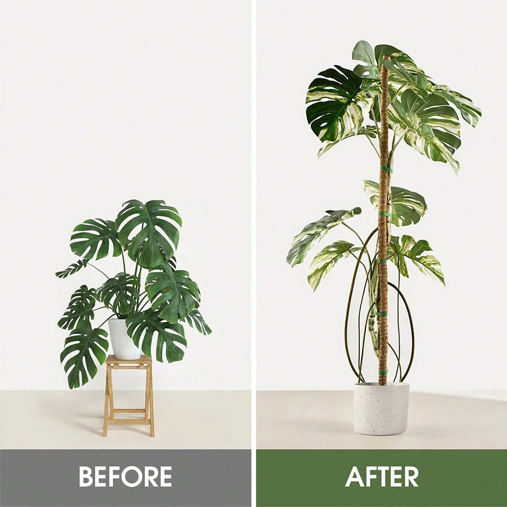 Monstera Plant Moss Pole Suppo - Indoor Herb Garden 评论和价格