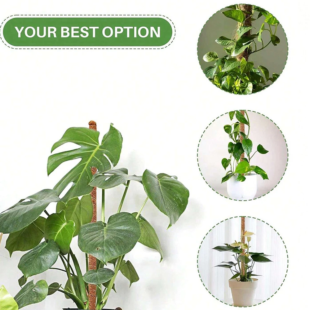 Monstera Plant Moss Pole Suppo - Indoor Herb Garden 评论和价格