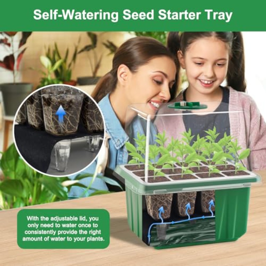 Seed Starter Tray with Light 6 - Seed Starter Tray 评论和价格