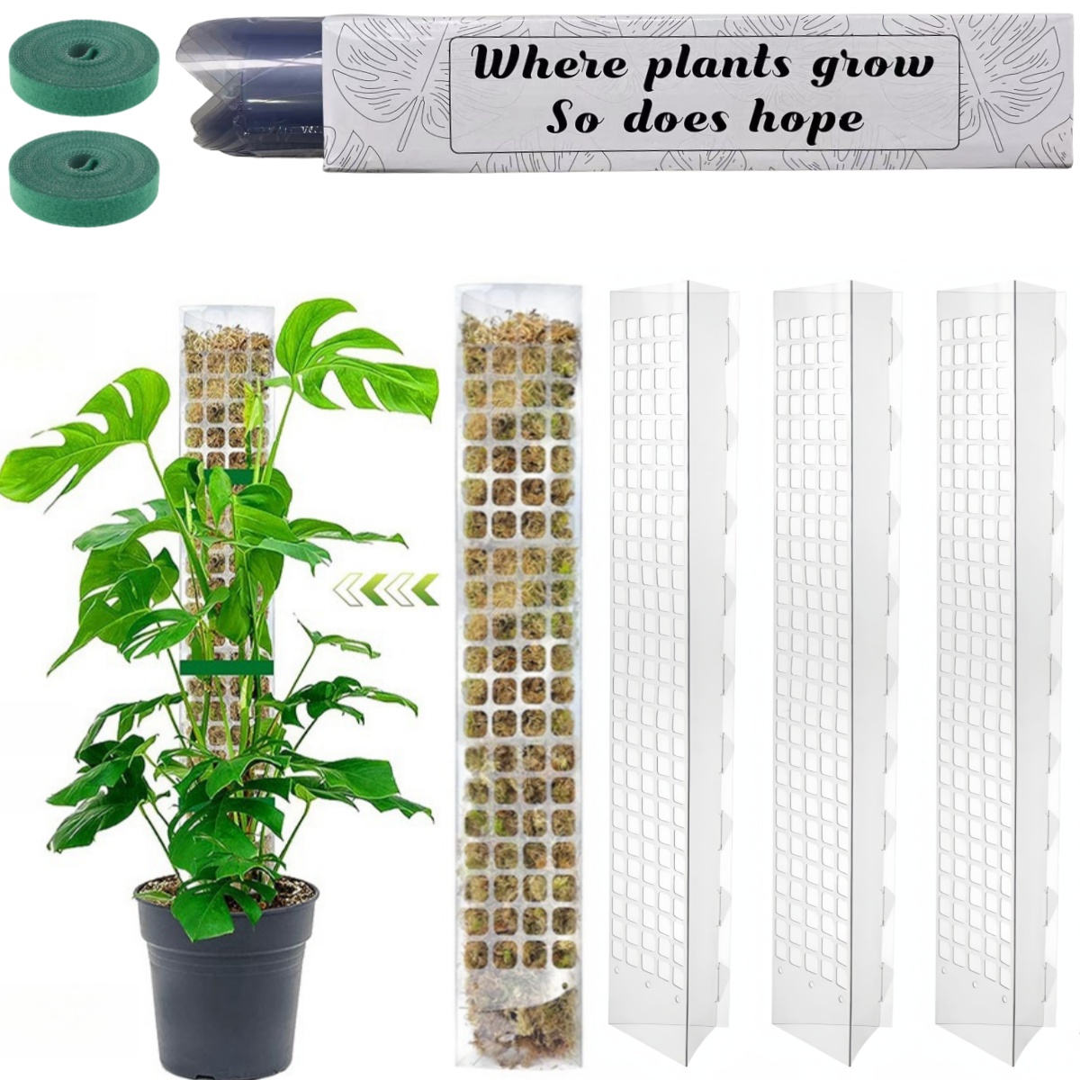 Moss Pole Plastic Plant Stand  - Indoor Herb Garden 评论和价格