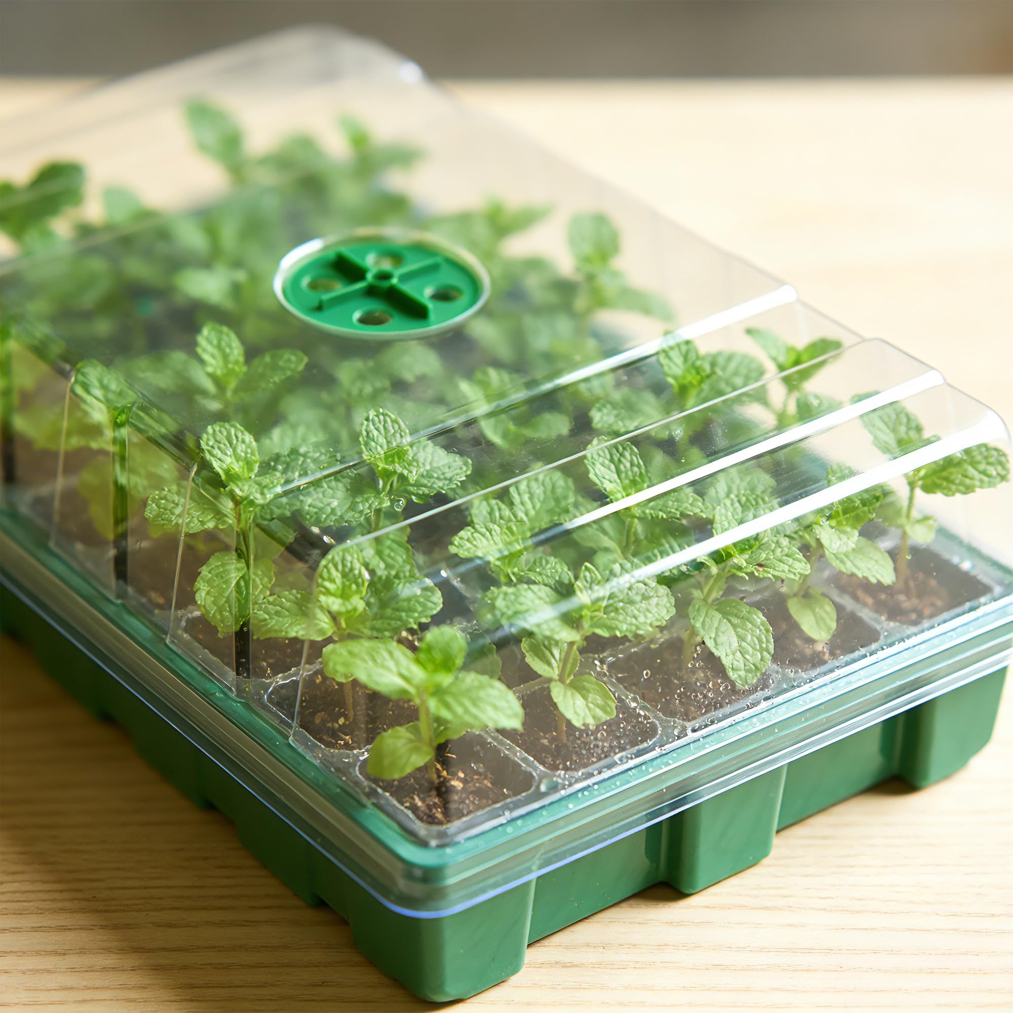 With Transparent Cover Greenho - Seed Starter Tray 评论和价格