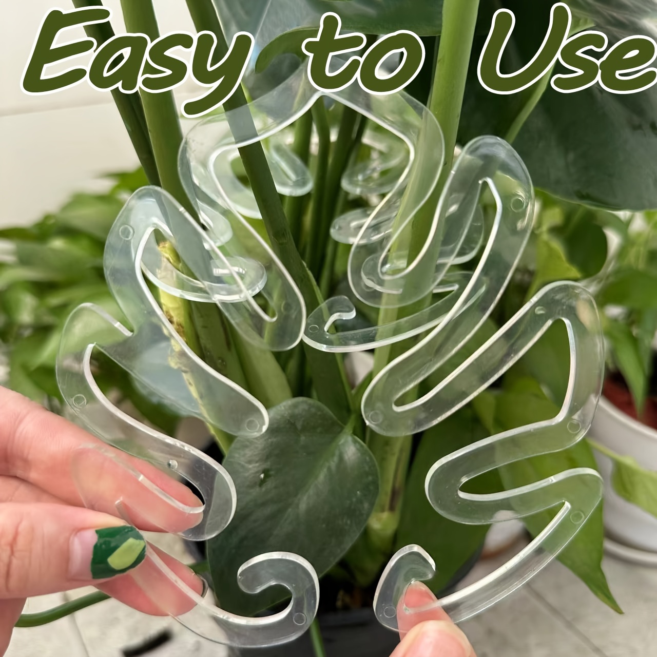 Flexible Plastic Monstera Plan - Vertical Planter 评论和价格
