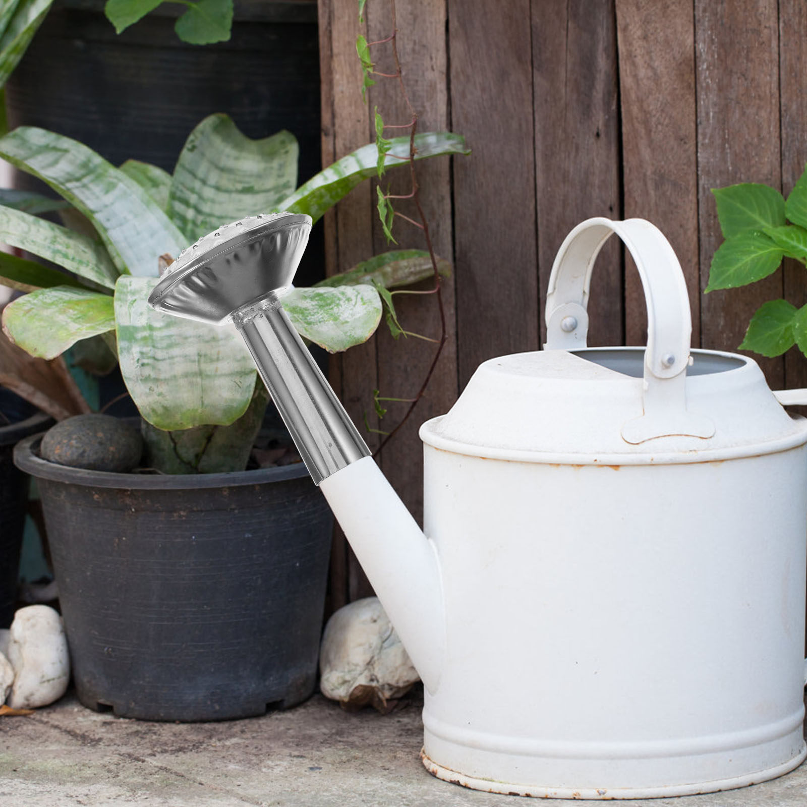 Stainless Steel Watering Can S - Watering Can 评论和价格