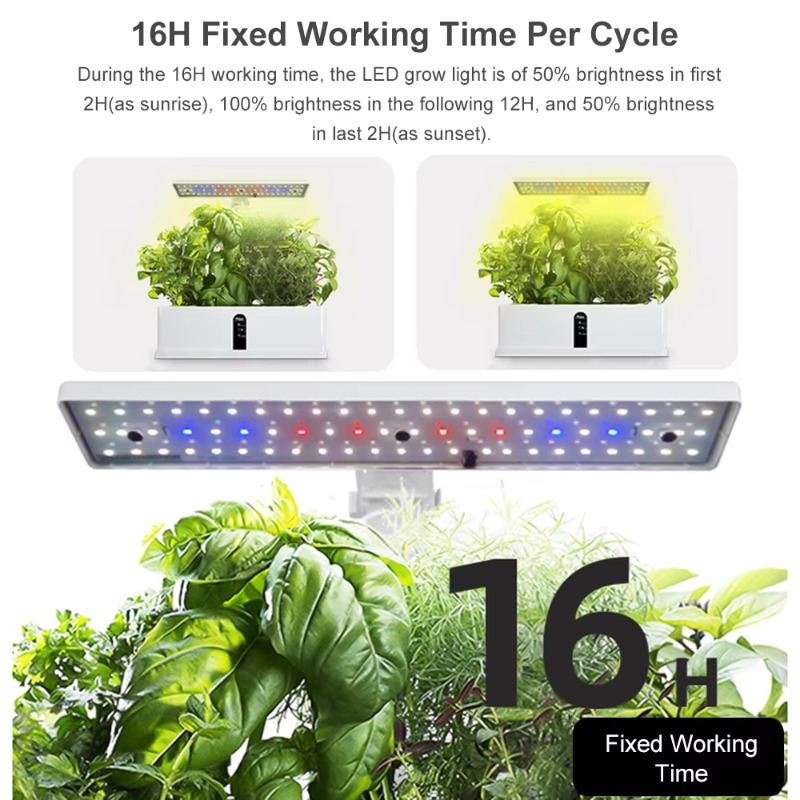 9 Pods Smart Hydroponics Growi - Hydroponic Kit 评论和价格