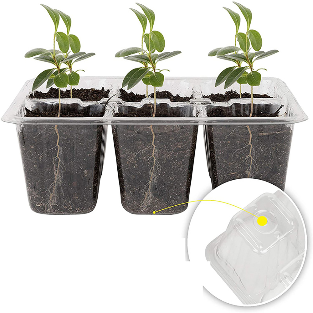 Seed Starter Trays with Grow L - Seed Starter Tray 评论和价格