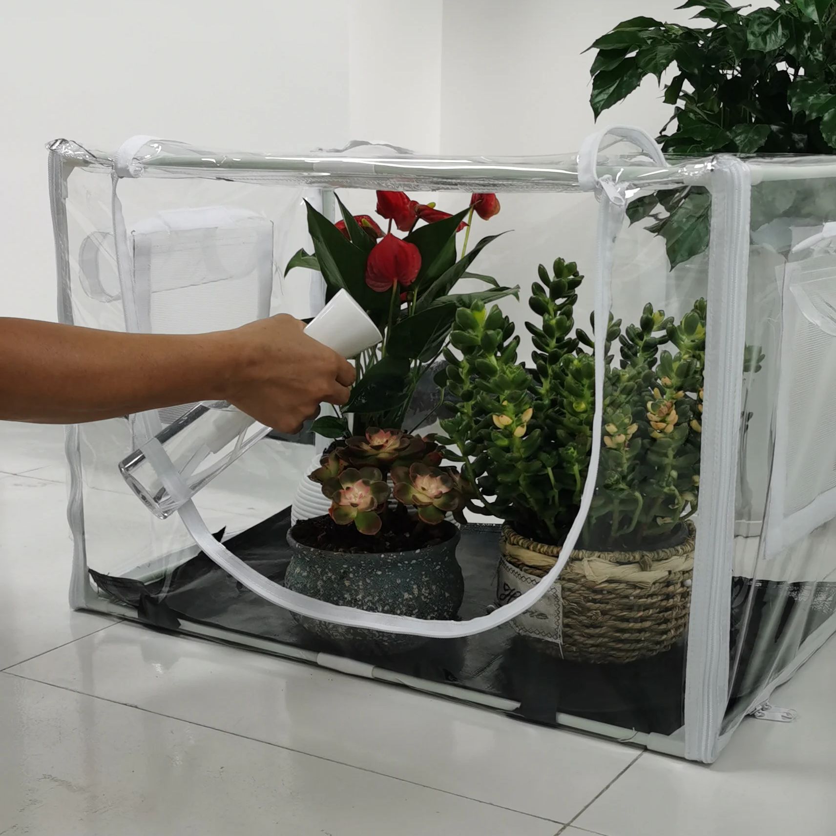 Compact Indoor/Outdoor Greenho - Grow Bag 评论和价格
