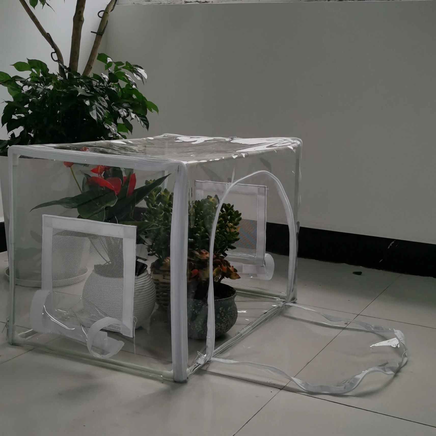 Compact Indoor/Outdoor Greenho - Grow Bag 评论和价格