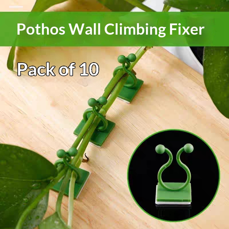 Self‑Adhesive Plant Climbing W - Indoor Herb Garden 评论和价格