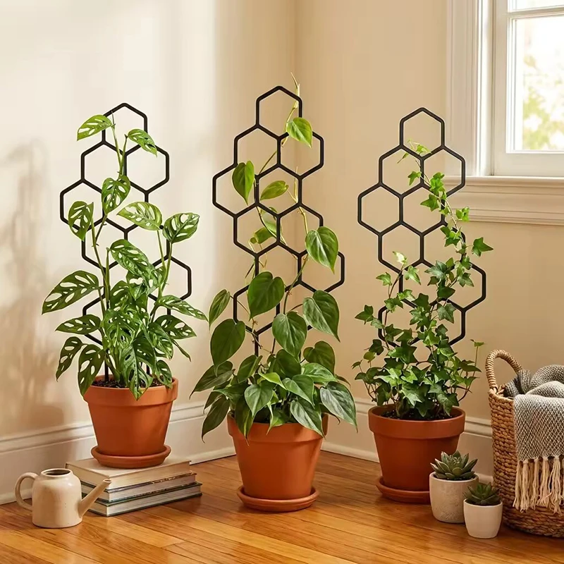 2/4pcs Honeycomb Design Plant  - Indoor Herb Garden 评论和价格