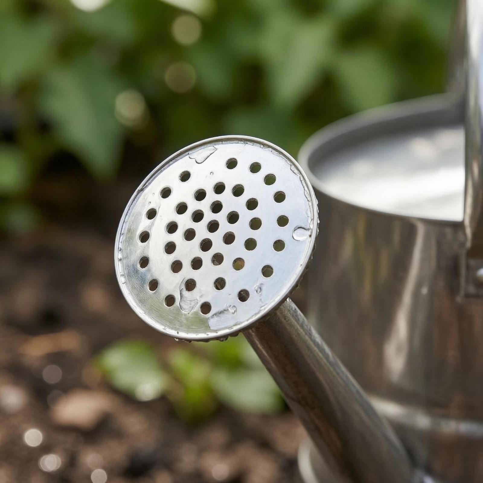 Garden Flower Watering Can Sta - Watering Can 评论和价格