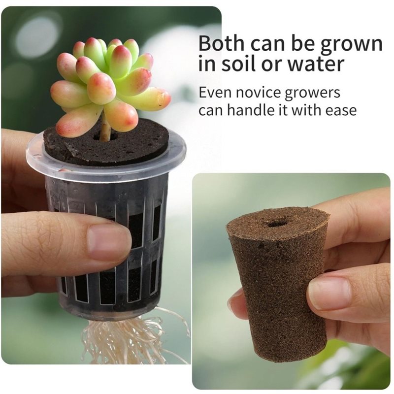 [ABFI!】 Hydroponic Seedling Cu - Hydroponic Kit 评论和价格